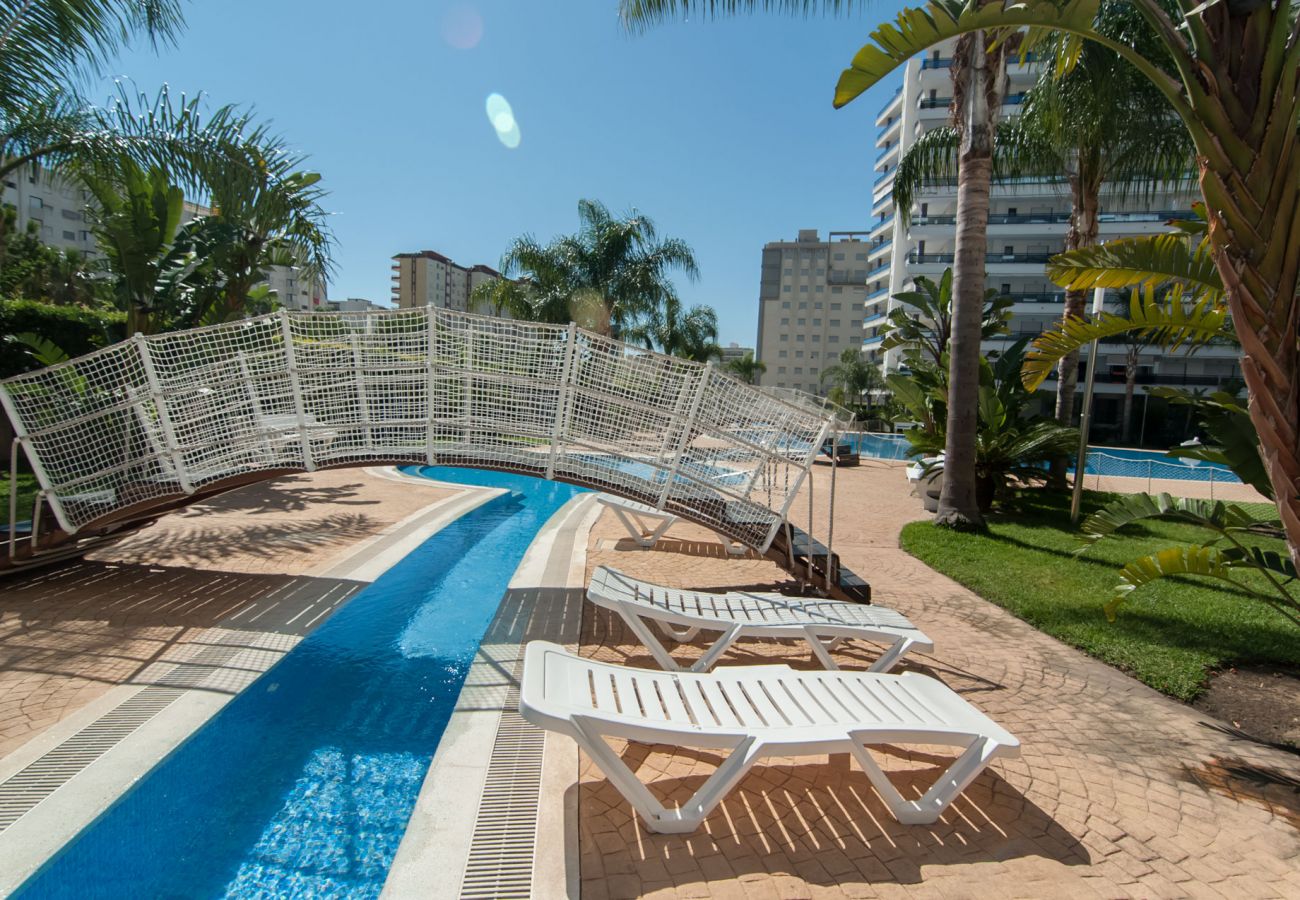 Apartamento en Playa de Gandía - 61. AG EDEN RESORT 9/1/1