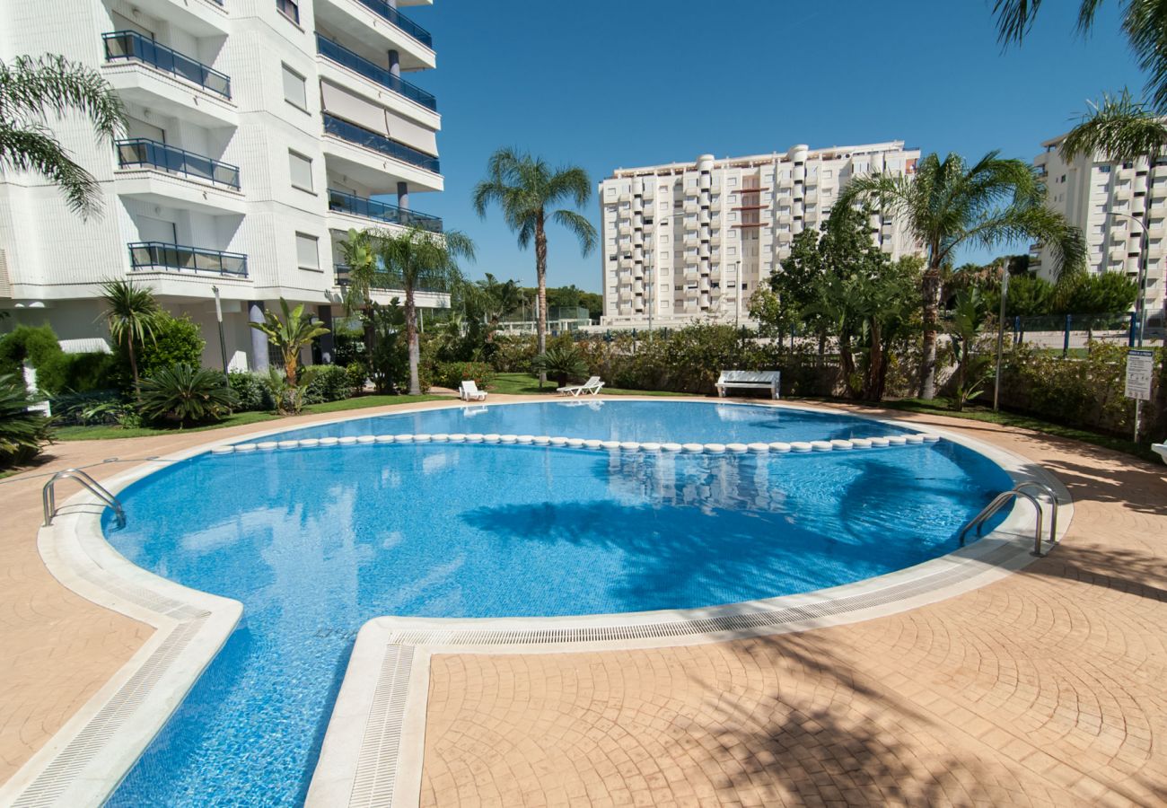 Apartamento en Playa de Gandía - 62. AG EDEN RESORT 9/2/1