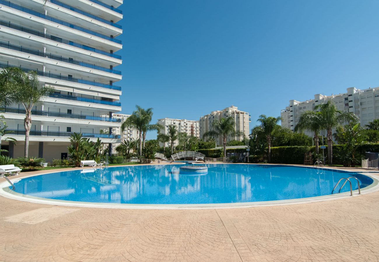 Apartamento en Playa de Gandía - 67. AG EDEN RESORT 9/2/4