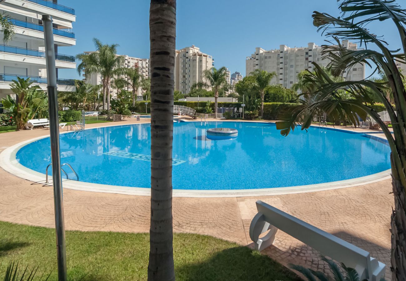 Apartamento en Playa de Gandía - 68. AG EDEN RESORT 9/3/4