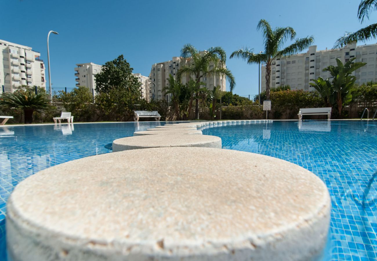 Apartamento en Playa de Gandía - 70. AG EDEN RESORT 10/3/4