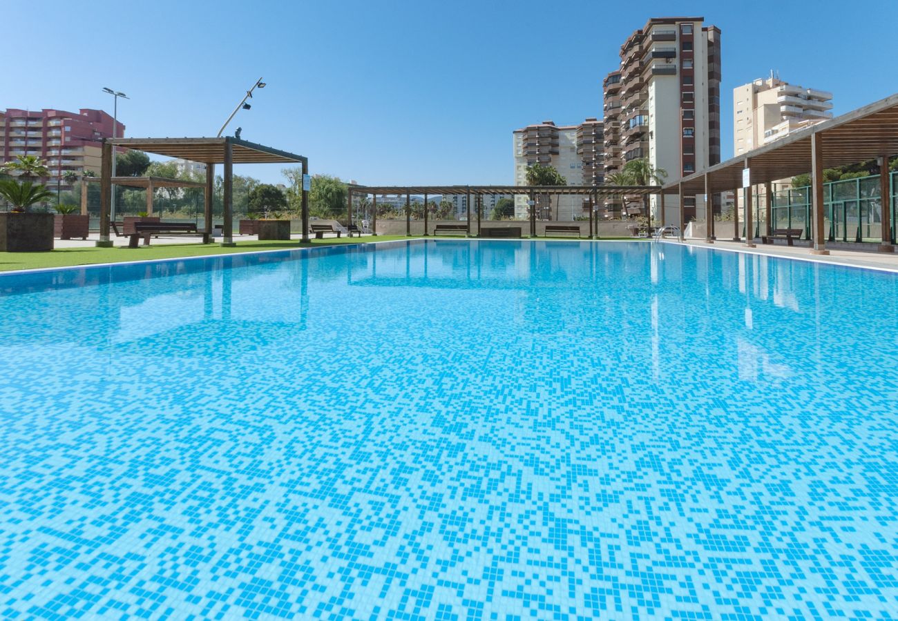 Apartamento en Playa de Gandía - 02. AG BERMUDAS 6H PREMIUM