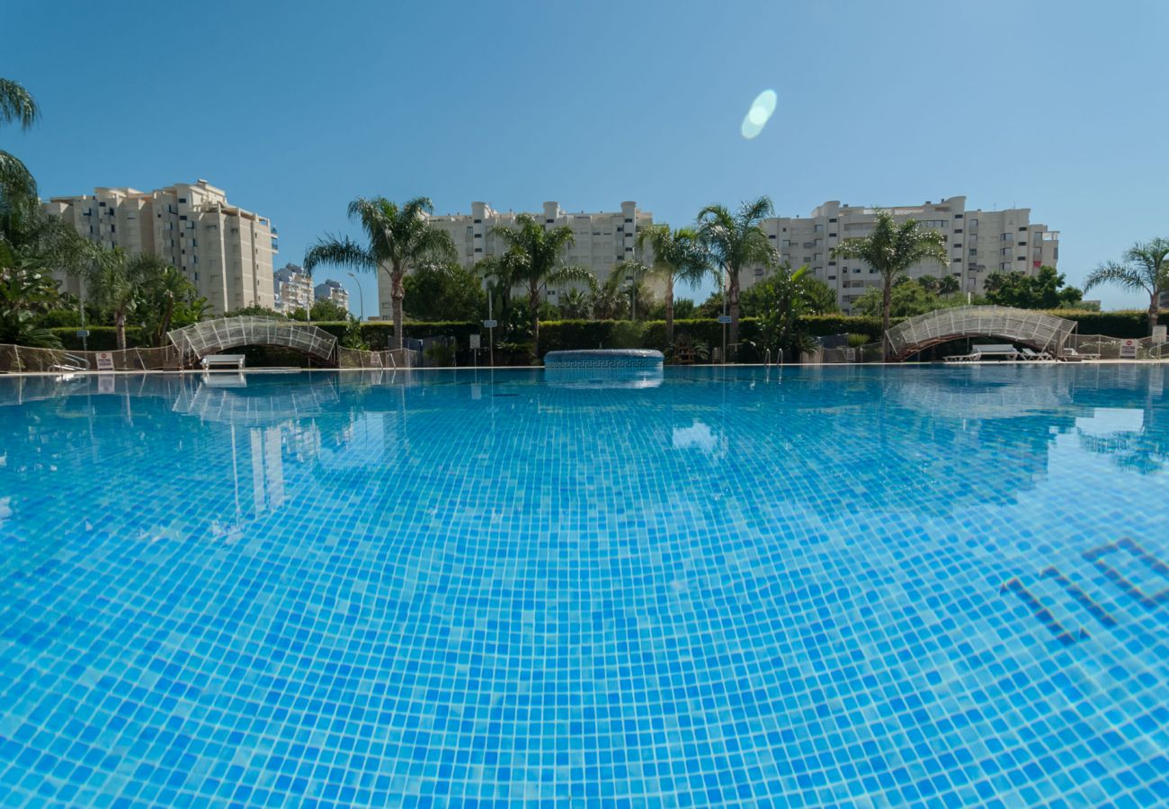 Apartamento en Playa de Gandía - 72. AG EDEN RESORT 4/3/4