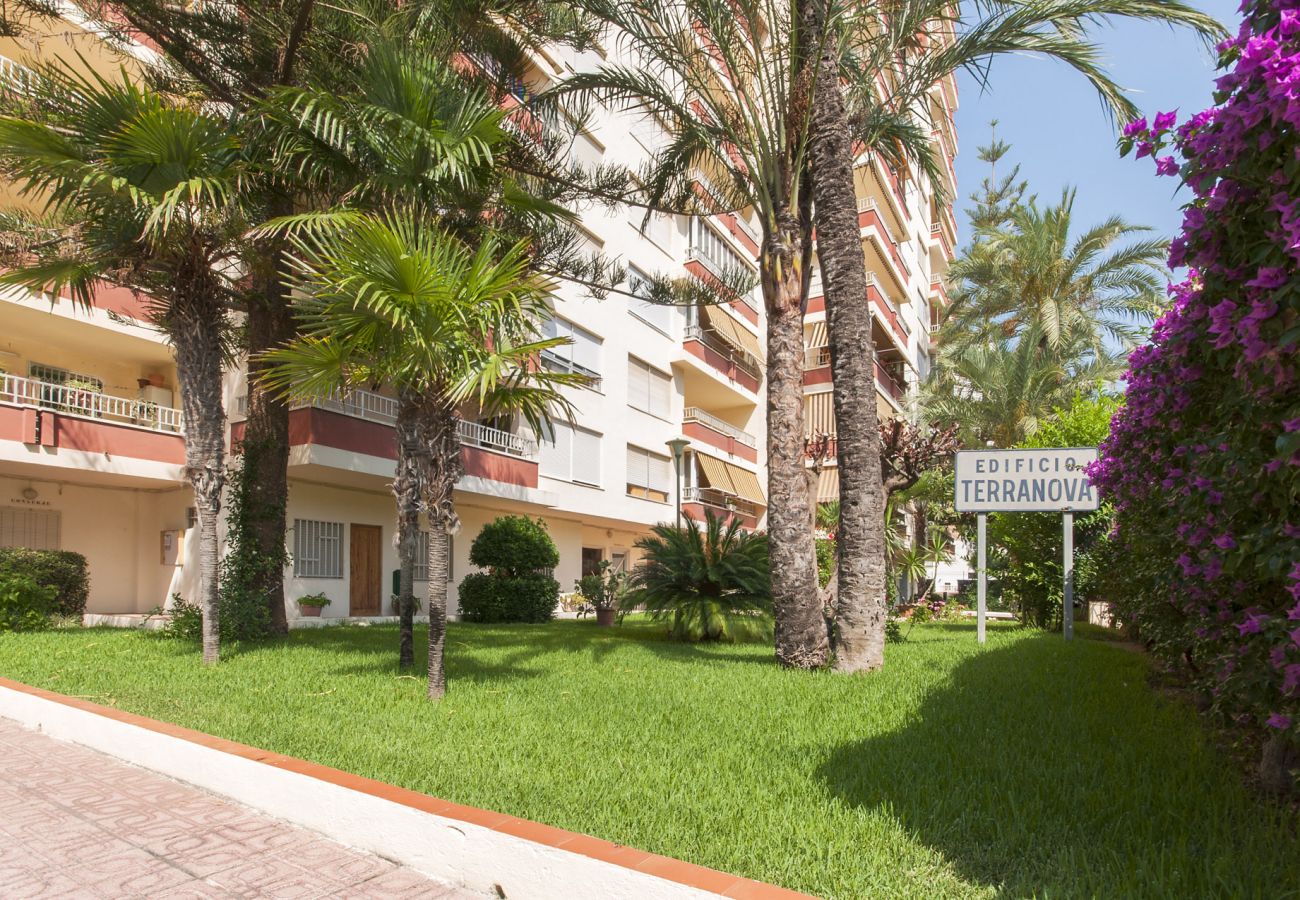 Apartamento en Playa de Gandía - 59. AG TERRANOVA 12