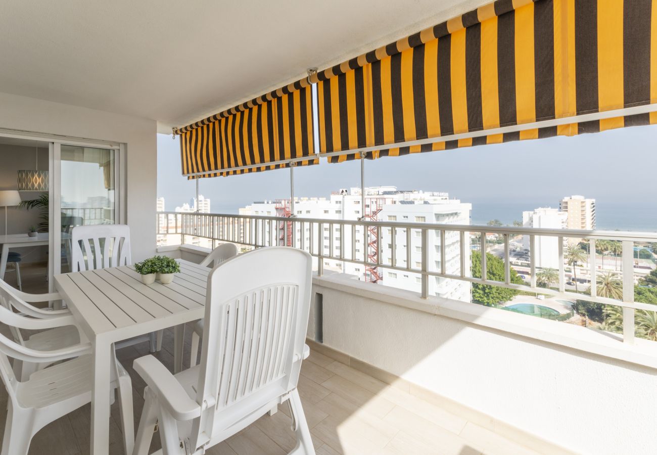 Apartamento en Playa de Gandía - 59. AG TERRANOVA 12