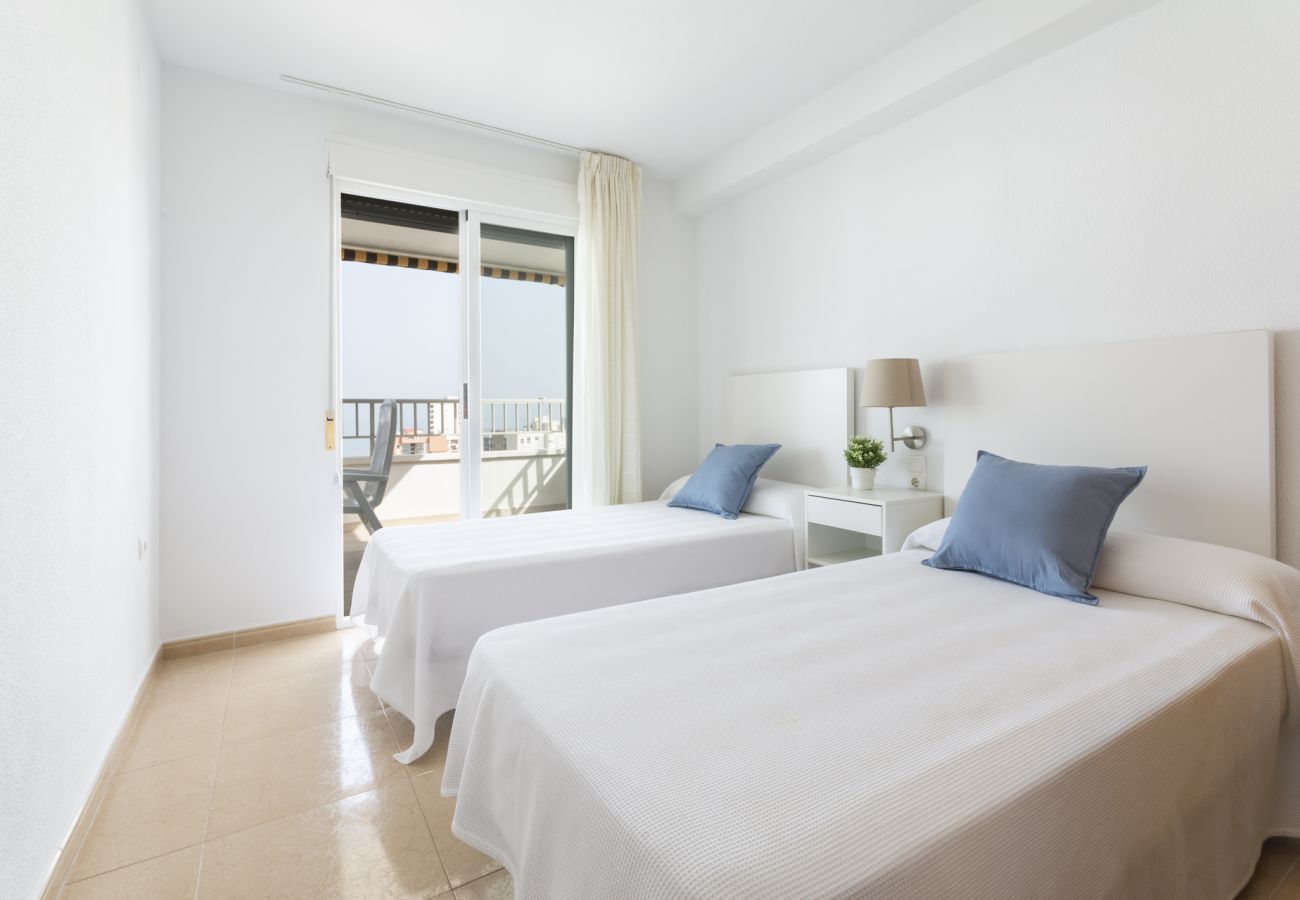 Apartamento en Playa de Gandía - 59. AG TERRANOVA 12