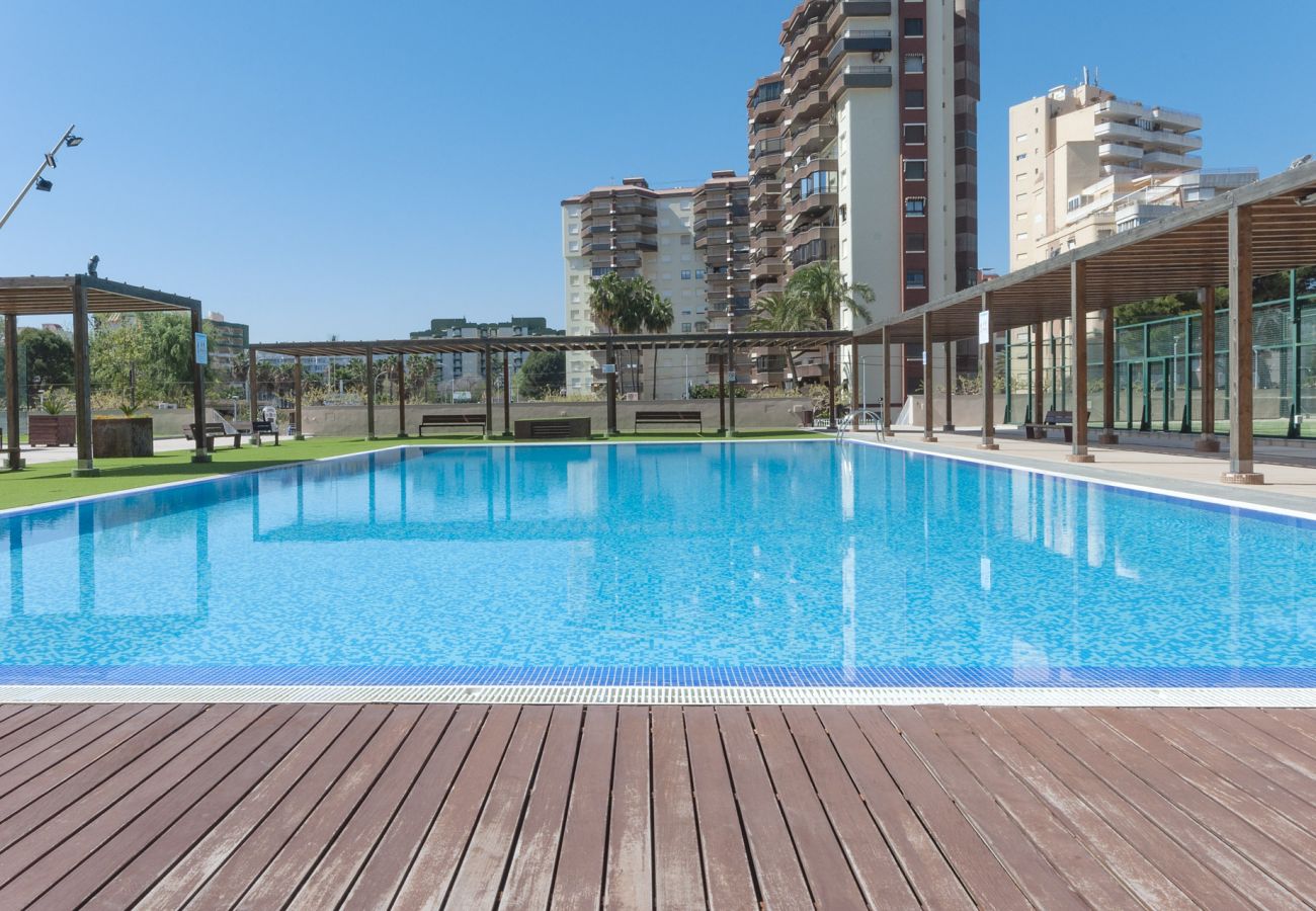 Apartamento en Playa de Gandía - 03. AG BERMUDAS 8G PREMIUM