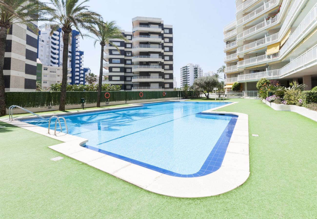 Apartamento en Playa de Gandía - 32. AG AGUAMARINA 3B