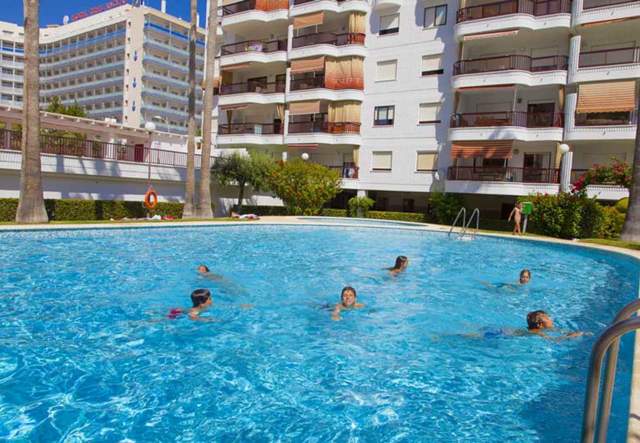 Apartamento en Playa de Gandía - 44. AG SALINAS 7