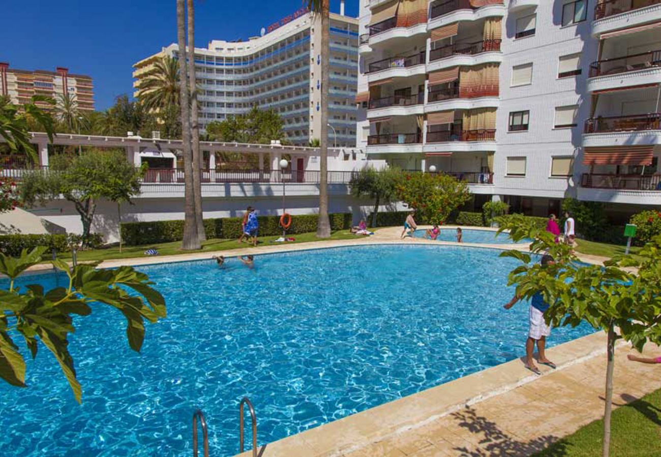 Apartamento en Playa de Gandía - 44. AG SALINAS 7