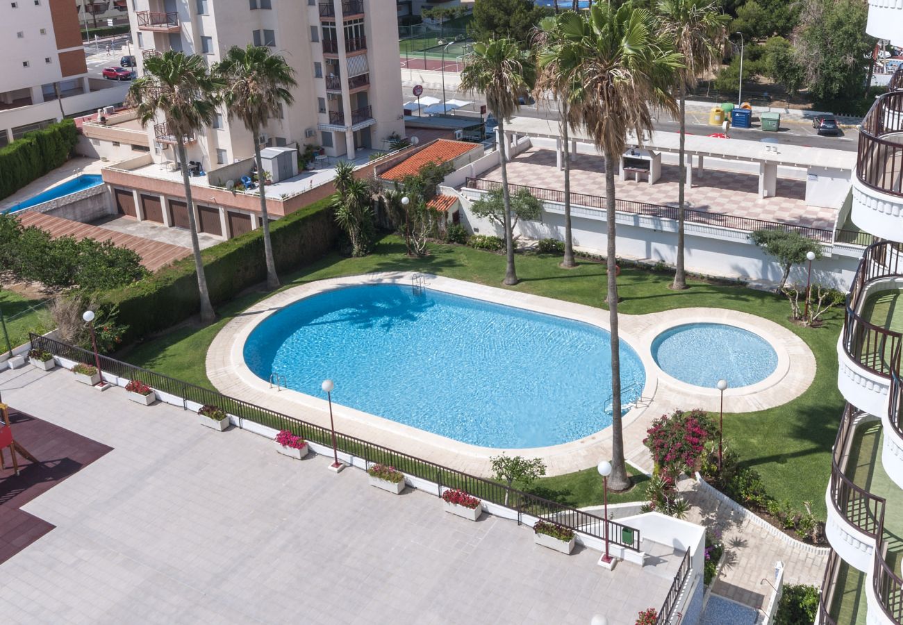 Apartamento en Playa de Gandía - 44. AG SALINAS 7