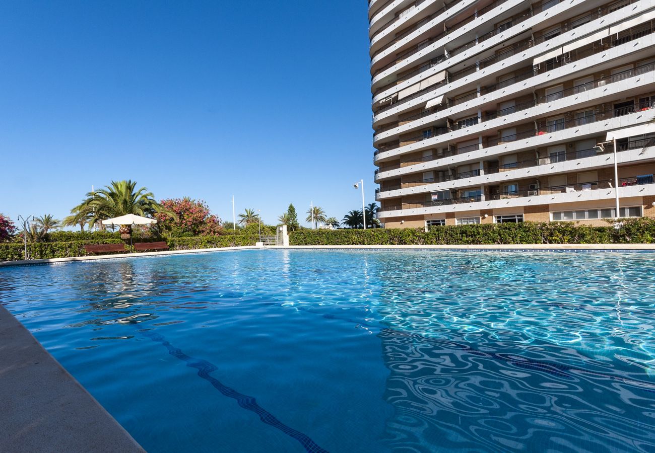 Apartamento en Playa de Gandía - 25. AG SAN PAULO PREMIUM