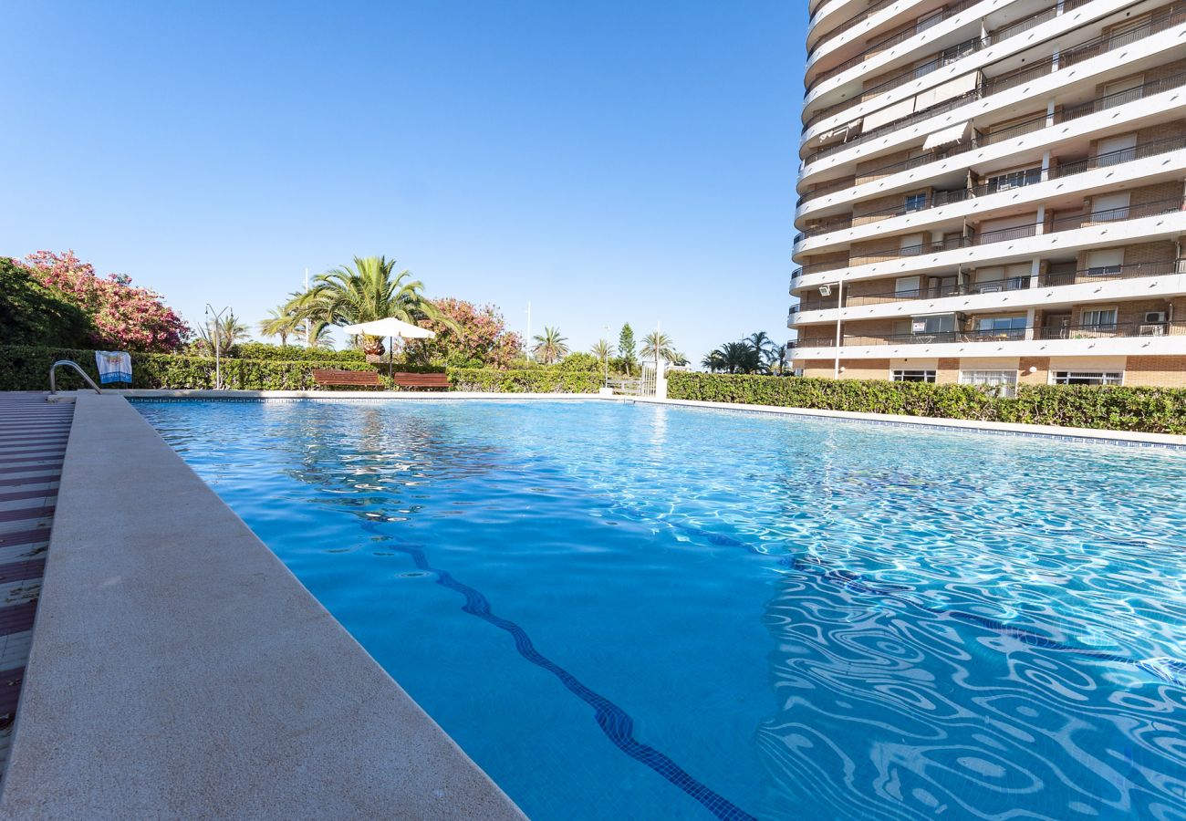 Apartamento en Playa de Gandía - 25. AG SAN PAULO PREMIUM