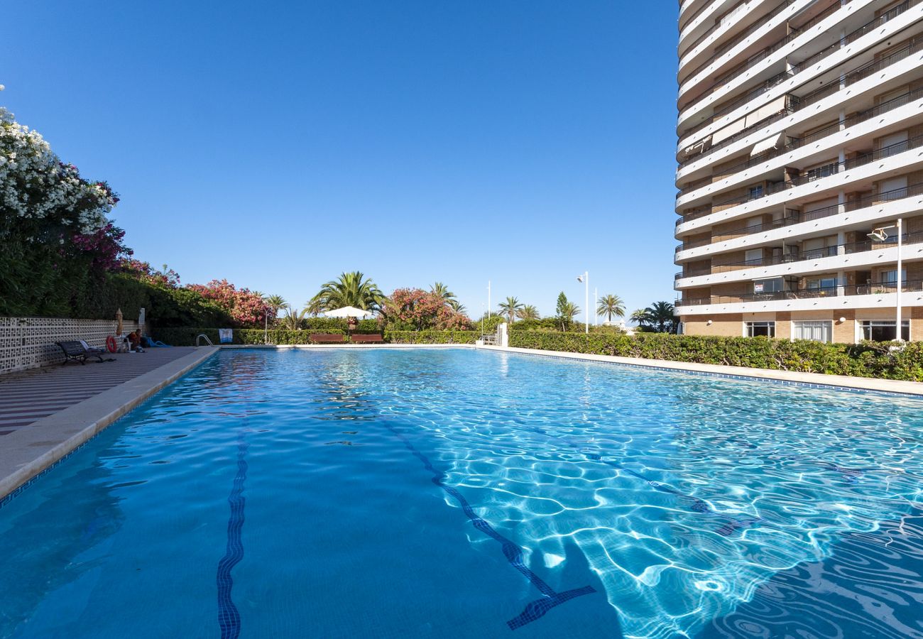 Apartamento en Playa de Gandía - 25. AG SAN PAULO PREMIUM