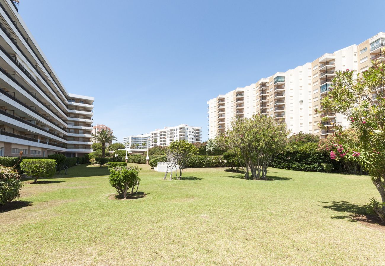 Apartamento en Playa de Gandía - 25. AG SAN PAULO PREMIUM