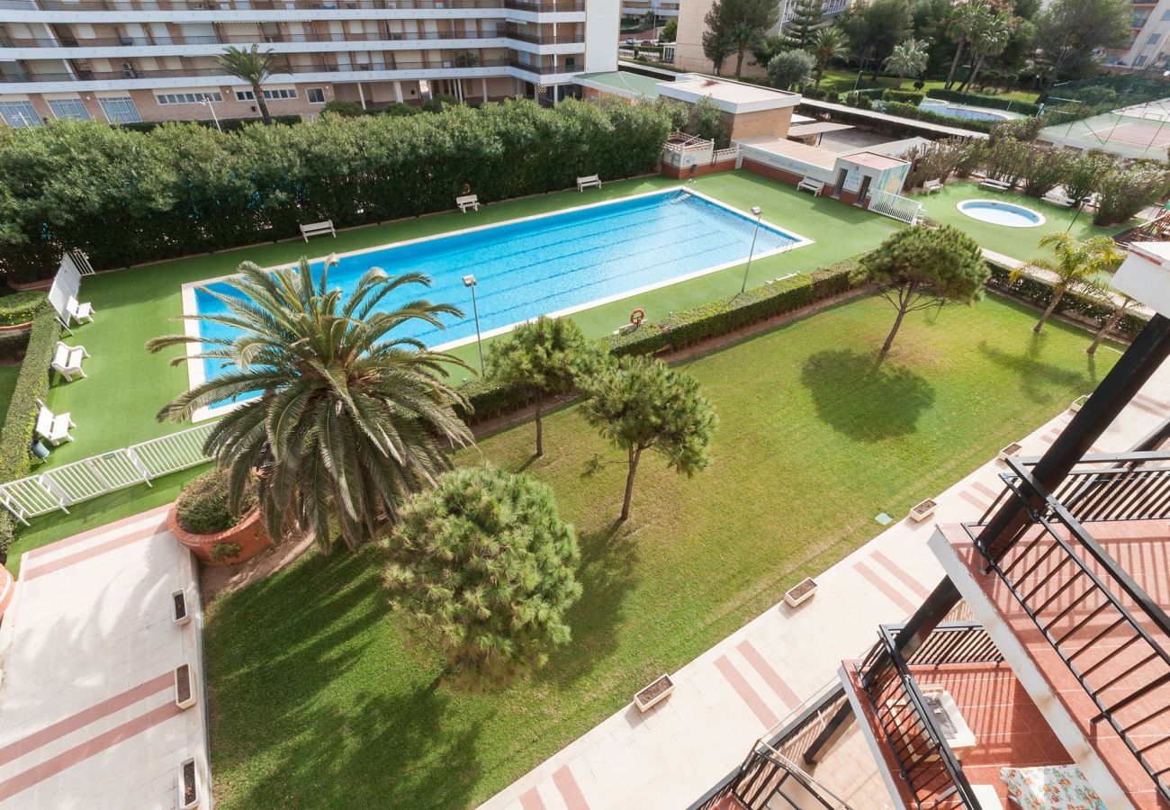 Apartamento en Playa de Gandía - 48. AG PRESIDENTE 6A-2