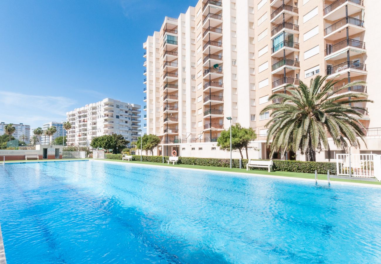 Apartamento en Playa de Gandía - 48. AG PRESIDENTE 6A-2