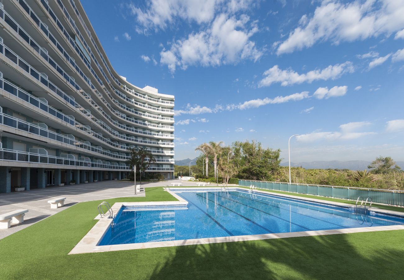 Apartamento en Playa de Gandía - 37. AG AIGUABLAVA 4-2