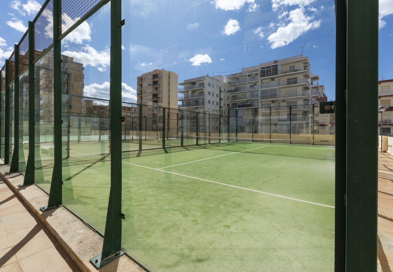 Apartamento en Playa de Gandía - 19. AG ALBATROS 11 PREMIUM