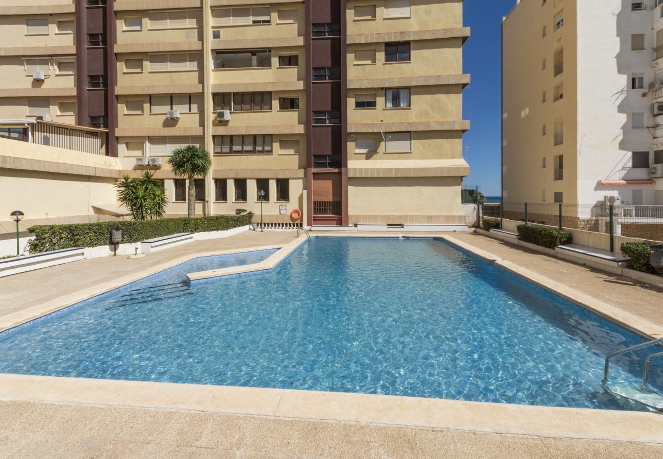 Apartamento en Playa de Gandía - 19. AG ALBATROS 11 PREMIUM