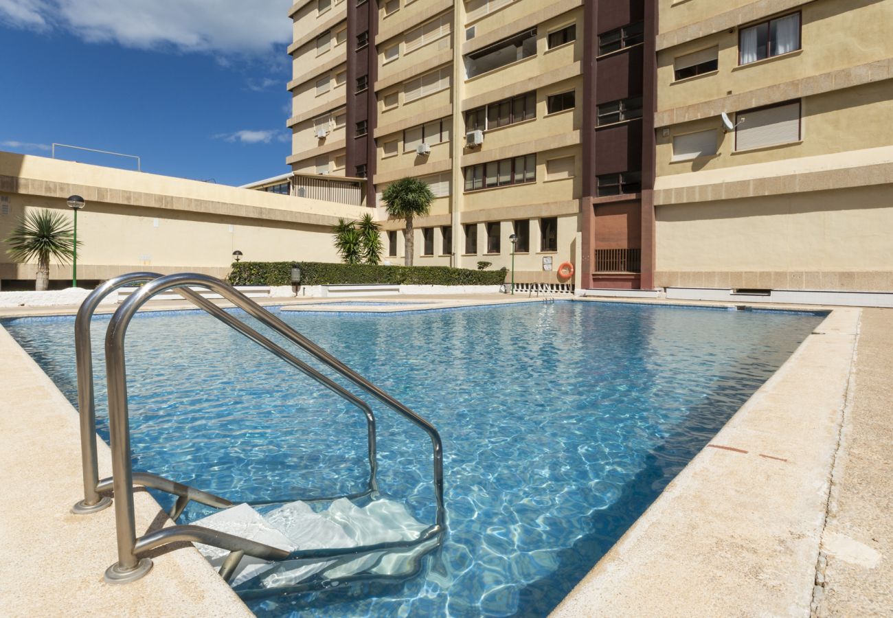 Apartamento en Playa de Gandía - 19. AG ALBATROS 11 PREMIUM