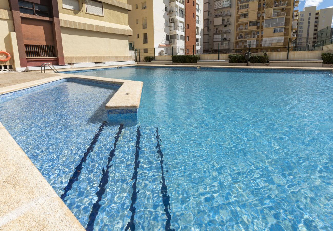 Apartamento en Playa de Gandía - 19. AG ALBATROS 11 PREMIUM