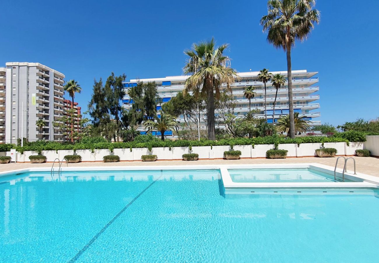 Apartamento en Playa de Gandía - 45. AG. GONDOLA 8