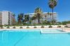 Apartamento en Playa de Gandía - 45. AG. GONDOLA 8