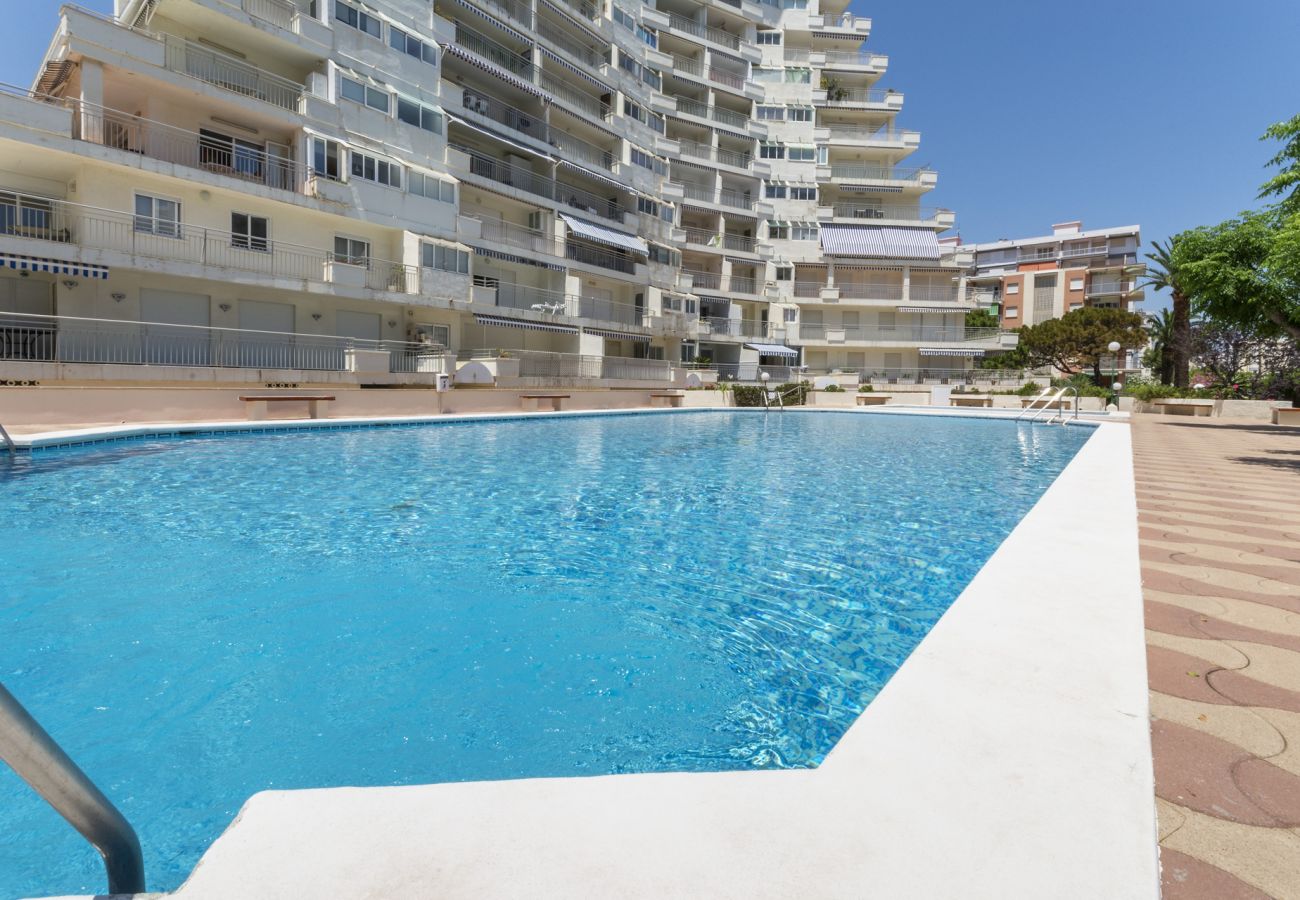 Apartamento en Playa de Gandía - 51. AG PIRAMIDE