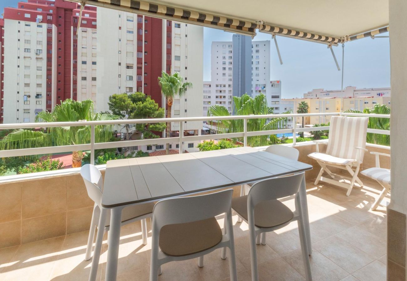 Apartamento en Playa de Gandía - 59. AG OLYMPIA Y ZEUS