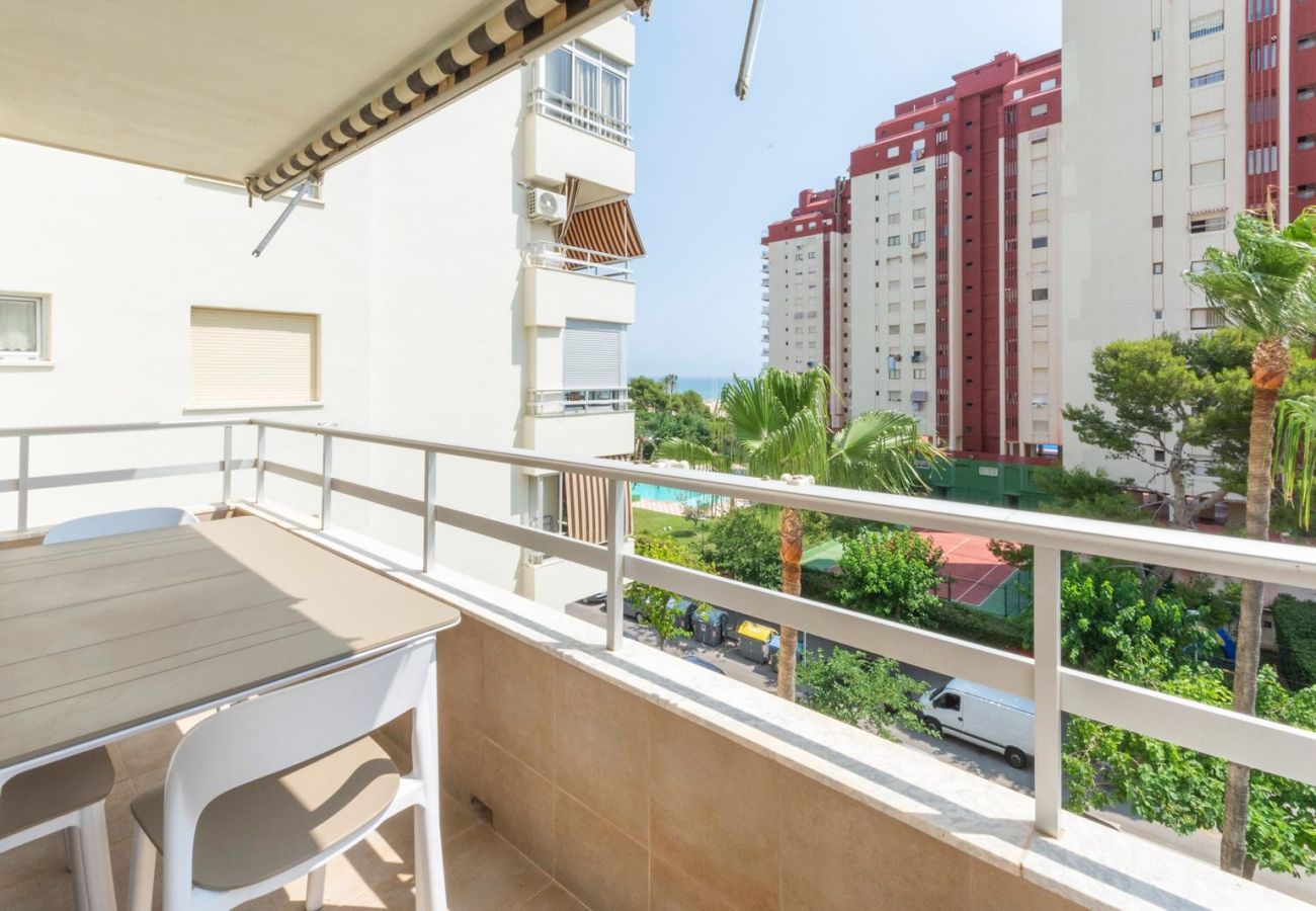 Apartamento en Playa de Gandía - 59. AG OLYMPIA Y ZEUS