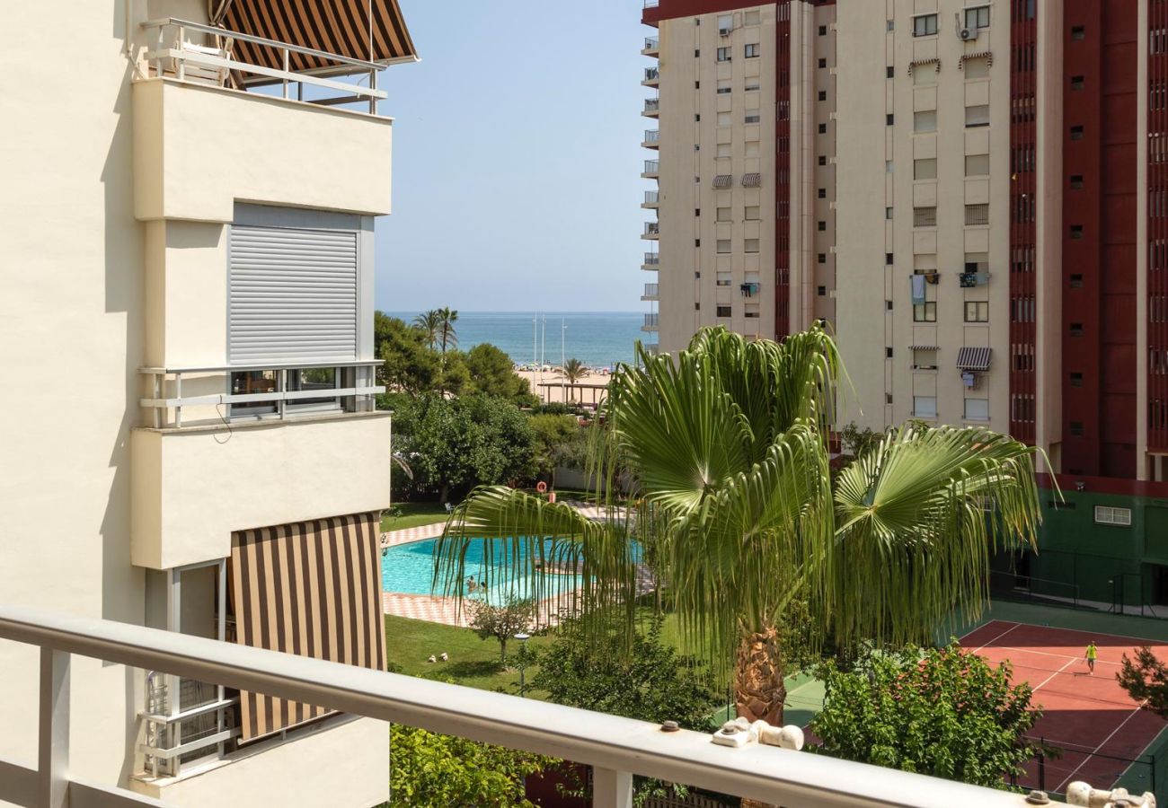 Apartamento en Playa de Gandía - 59. AG OLYMPIA Y ZEUS