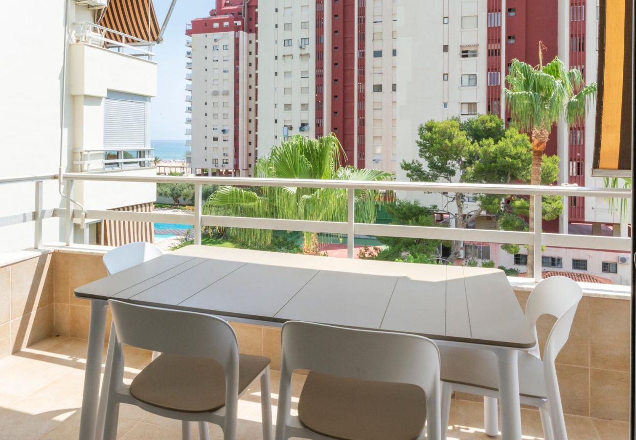 Apartamento en Playa de Gandía - 59. AG OLYMPIA Y ZEUS