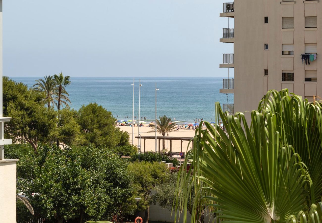 Apartamento en Playa de Gandía - 59. AG OLYMPIA Y ZEUS