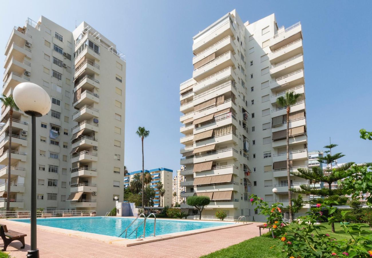 Apartamento en Playa de Gandía - 59. AG OLYMPIA Y ZEUS