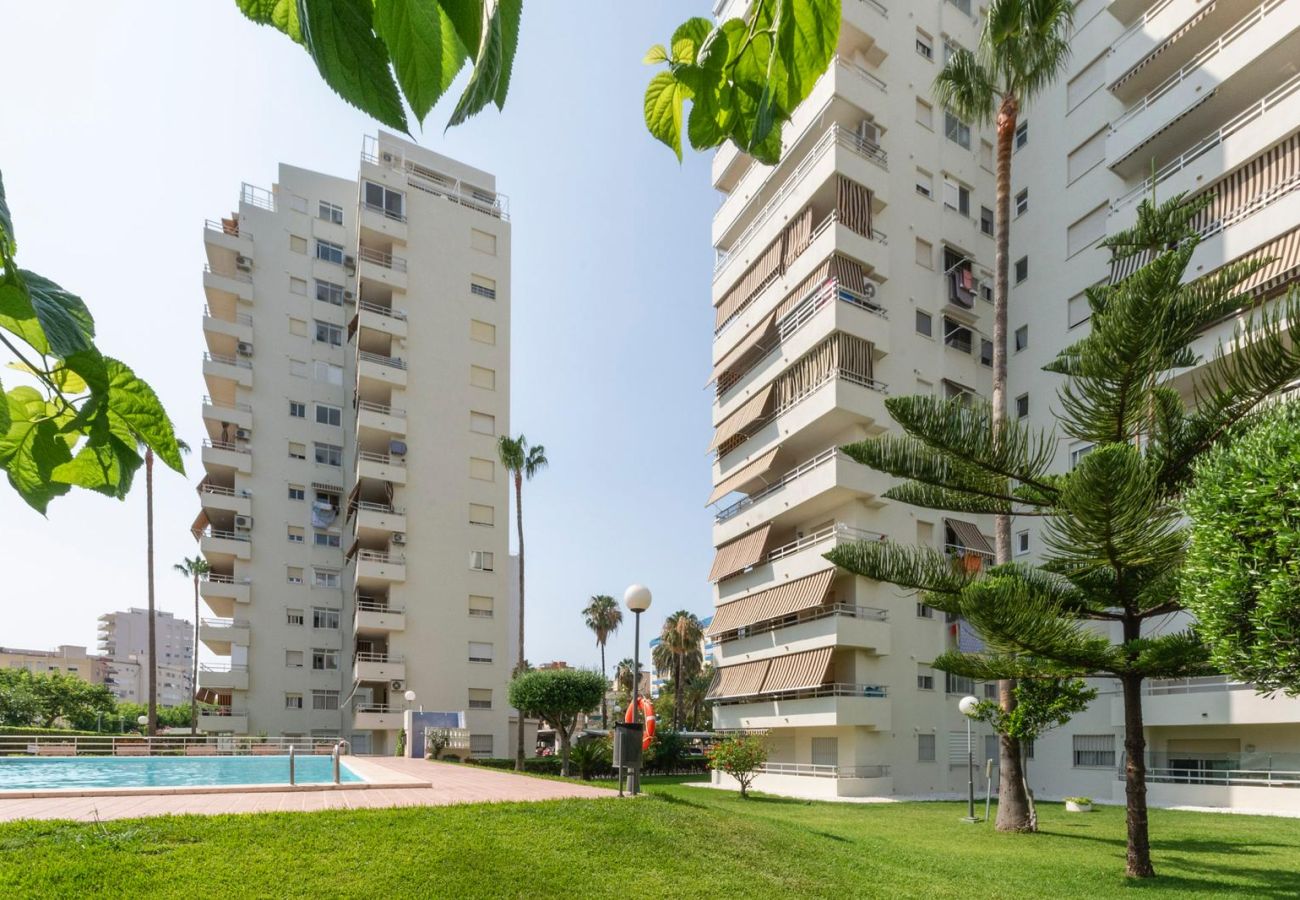 Apartamento en Playa de Gandía - 59. AG OLYMPIA Y ZEUS