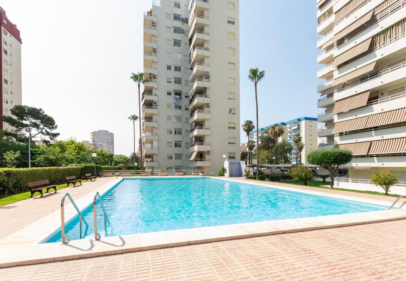 Apartamento en Playa de Gandía - 59. AG OLYMPIA Y ZEUS