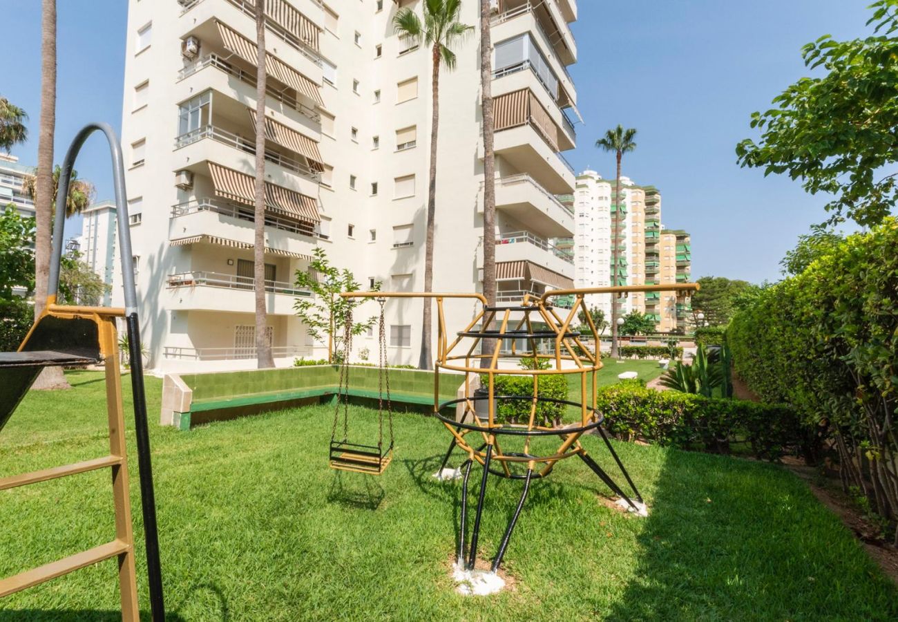 Apartamento en Playa de Gandía - 59. AG OLYMPIA Y ZEUS