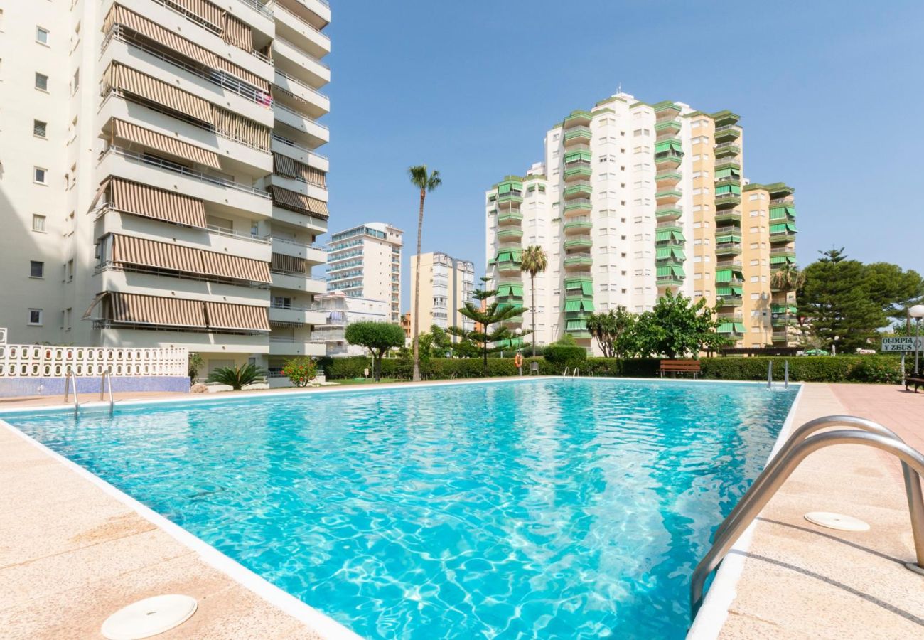 Apartamento en Playa de Gandía - 59. AG OLYMPIA Y ZEUS