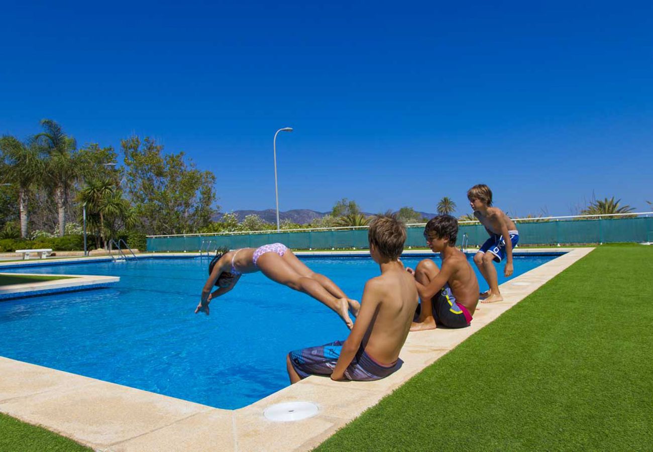 Apartamento en Playa de Gandía - 42. AG AIGUABLAVA 8-7-15