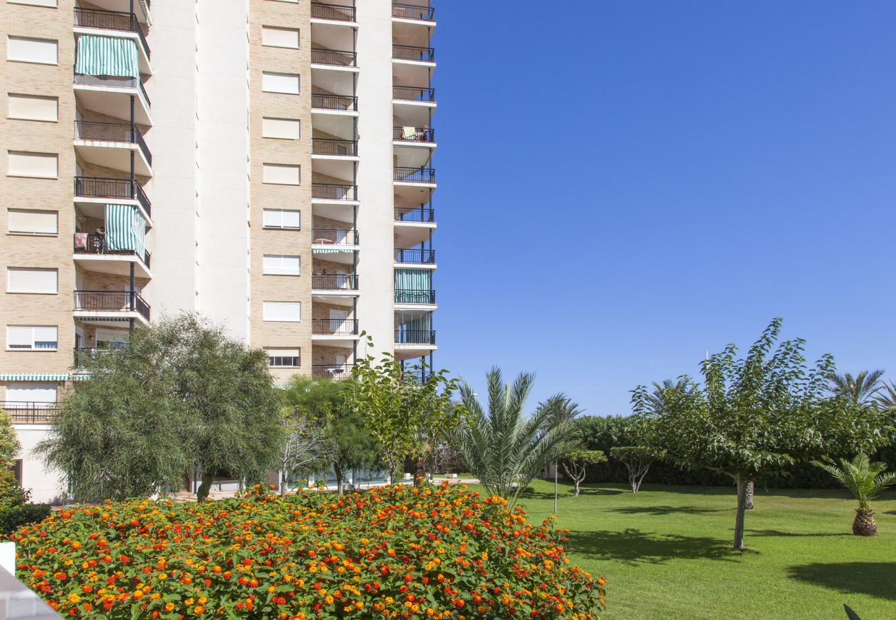 Apartment in Playa de Gandía - 46. AG PRESIDENTE 3A-3