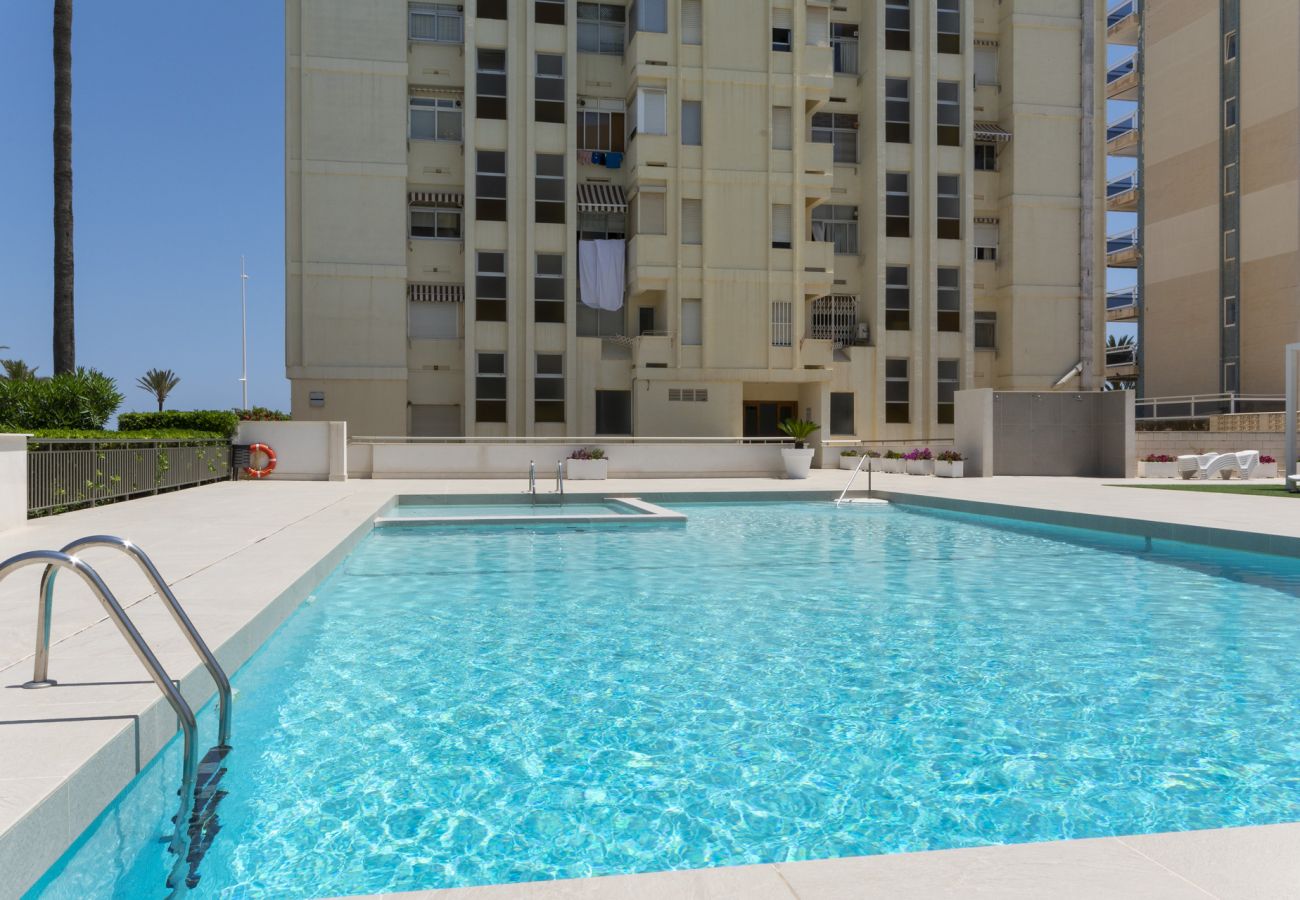 Apartment in Playa de Gandía - 45. AG. GONDOLA 8