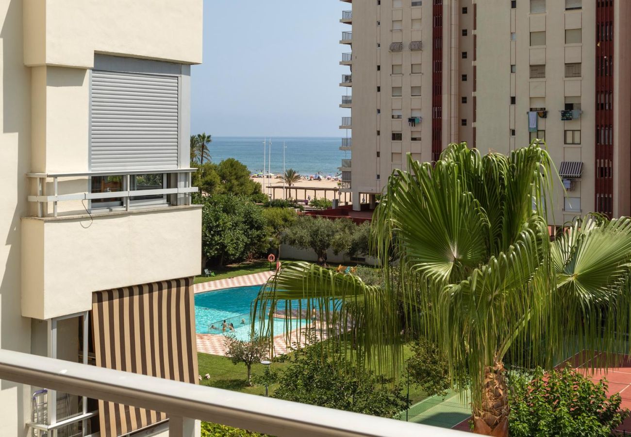 Apartment in Playa de Gandía - 59. AG OLYMPIA Y ZEUS