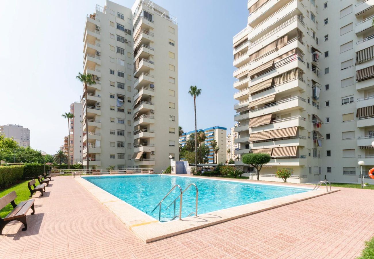 Apartment in Playa de Gandía - 59. AG OLYMPIA Y ZEUS