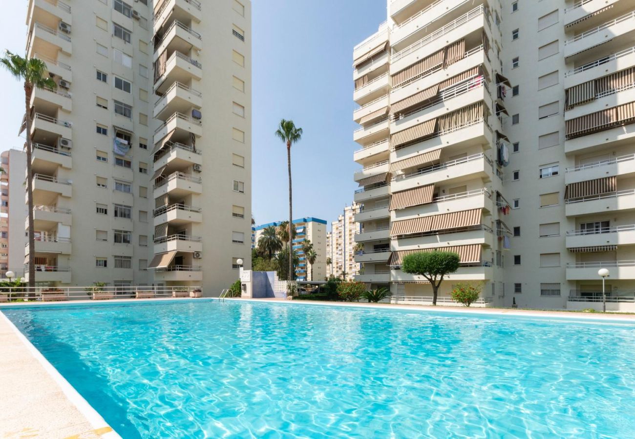 Apartment in Playa de Gandía - 59. AG OLYMPIA Y ZEUS