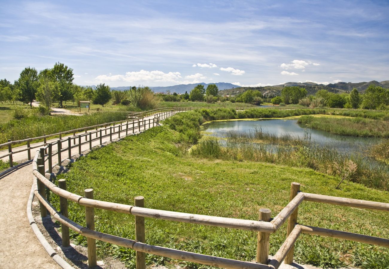 Appartement à Gandía - 72. AG GERMANIAS CIUDAD