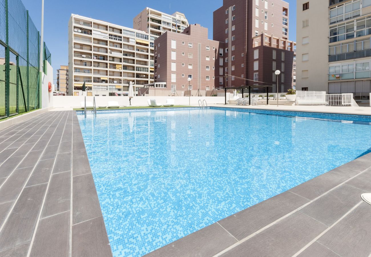 Апартаменты на Playa de Gandía - 11. AG LOFT CASA DEL MAR PREMIUM